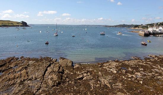 ӢlFͰˮĸ ֱ1_20D