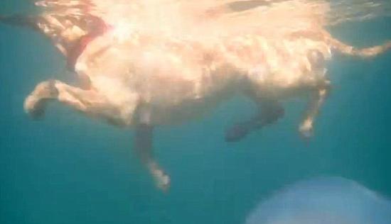 ӢlFͰˮĸ ֱ1_20D