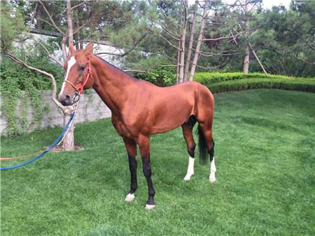 ѪRٴ౱ NRǌؐеČؐ