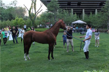 ѪRٴ౱ NRǌؐеČؐ